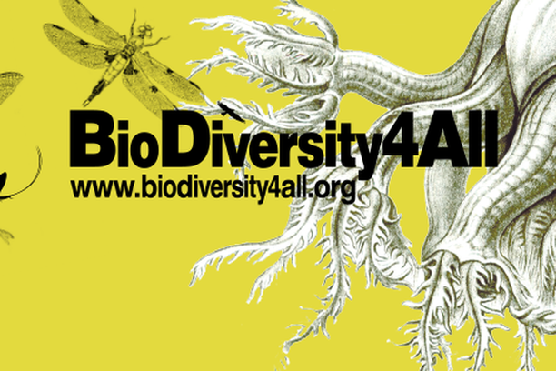 image for BioDiversity4All